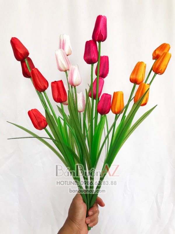 tulip 5 bông